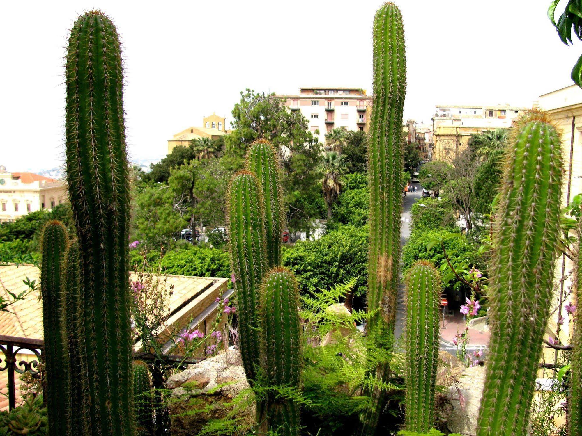 أغريجنتو Bed & Breakfast Le Palme المظهر الخارجي الصورة